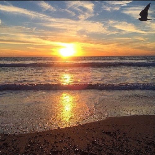 754a74c7a76258c99b2d169ca2ff5869_Original